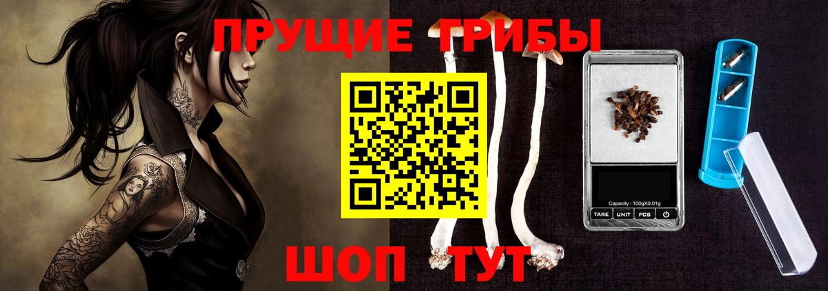 Псилоцибиновые грибы Psilocybine cubensis  Вход с VPN  Сертолово  Псилоцибиновые грибы MAGIC MUSHROOMS 